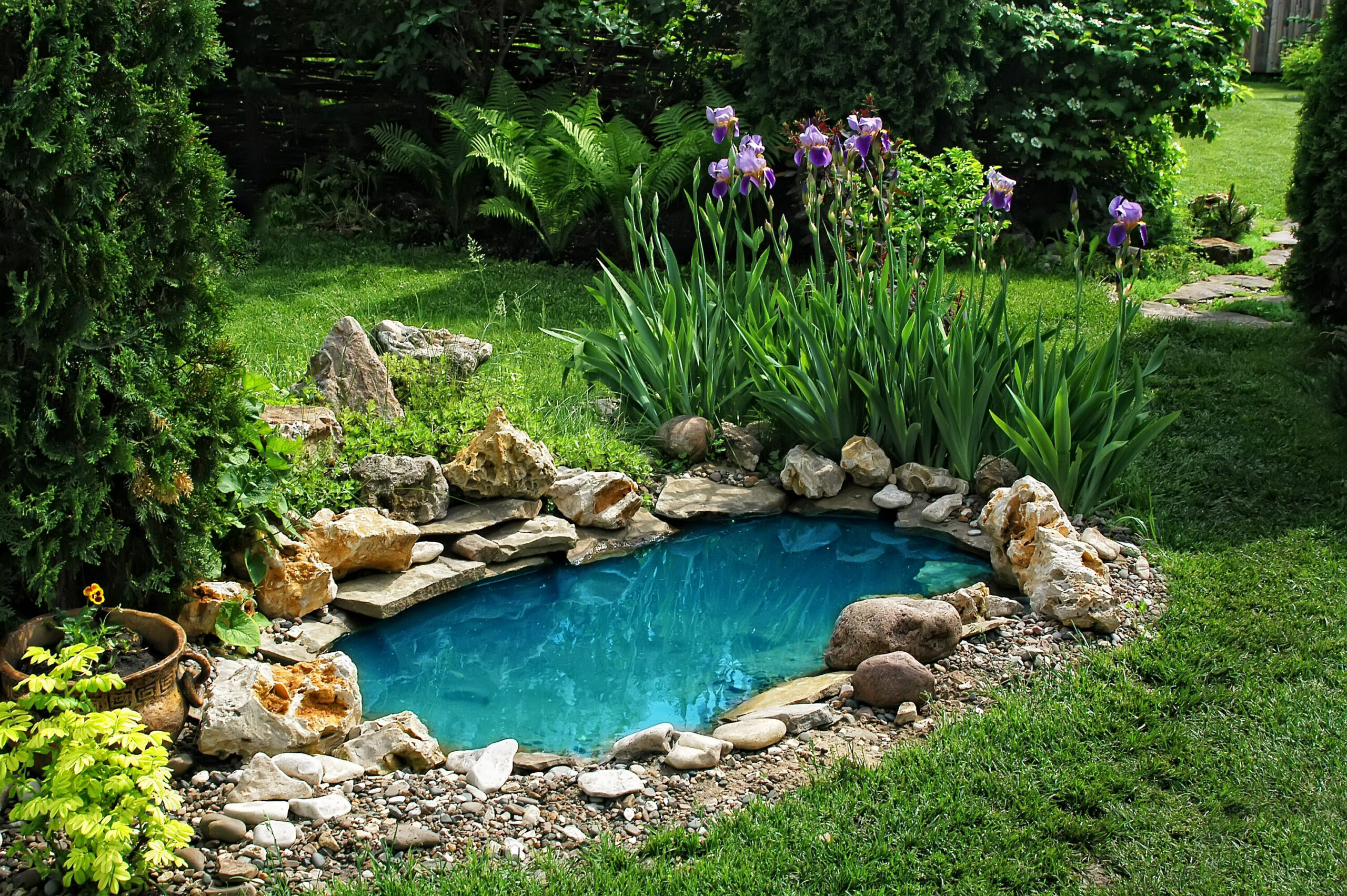 Pond