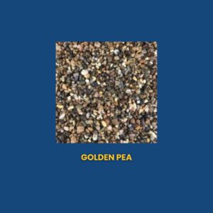 Golden Pea 