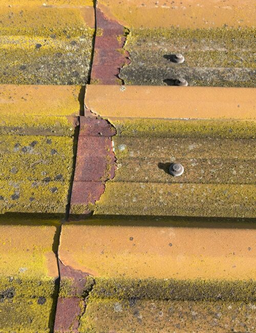 Commercial Flat Roof at IWM Duxford